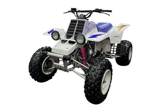 Banshee | 1993 Twin350
